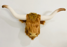 Load image into Gallery viewer, Longhorn White Highland Cow