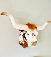 Load image into Gallery viewer, Longhorn White Highland Cow