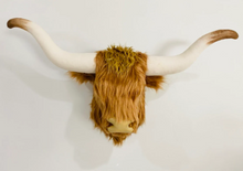 Load image into Gallery viewer, Longhorn White Highland Cow
